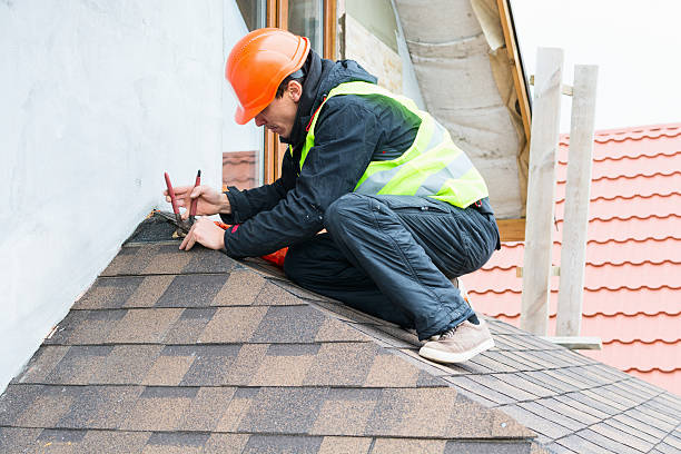 Best Roof Gutter Cleaning  in North Lakeville, MA